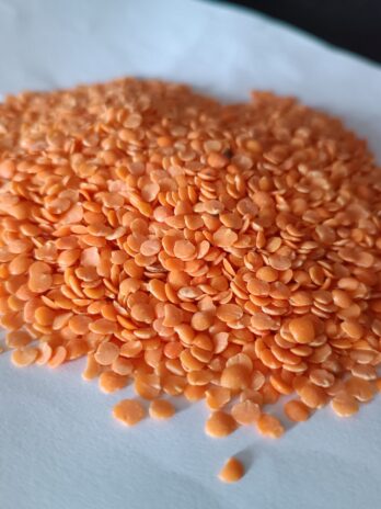 મસુર દાળ